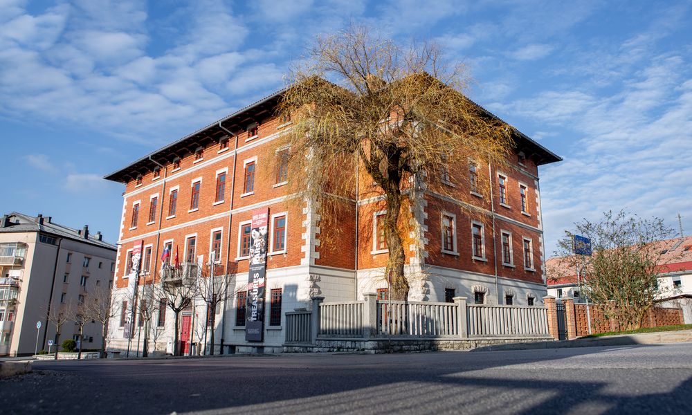 Zunanji pogled na muzej iz ceste pred katerim stoji mogočna vrba
