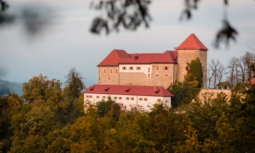 Pogled na grad Podsreda s sosednjega hriba. Grad ima rdeče-rumene lesene polkne in prenovljeno streho, obkrožen je z gozdom.