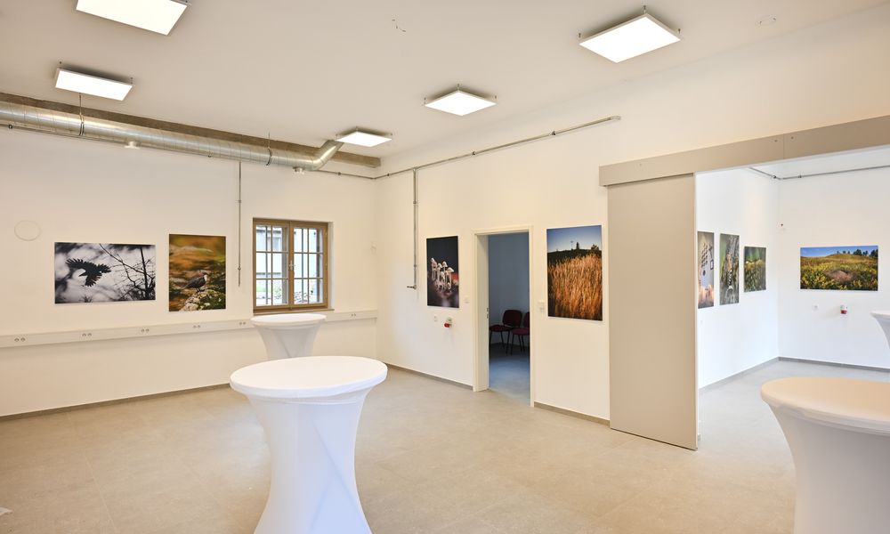 Razstava fotografij narave v beli sobi z visokimi belimi mizami