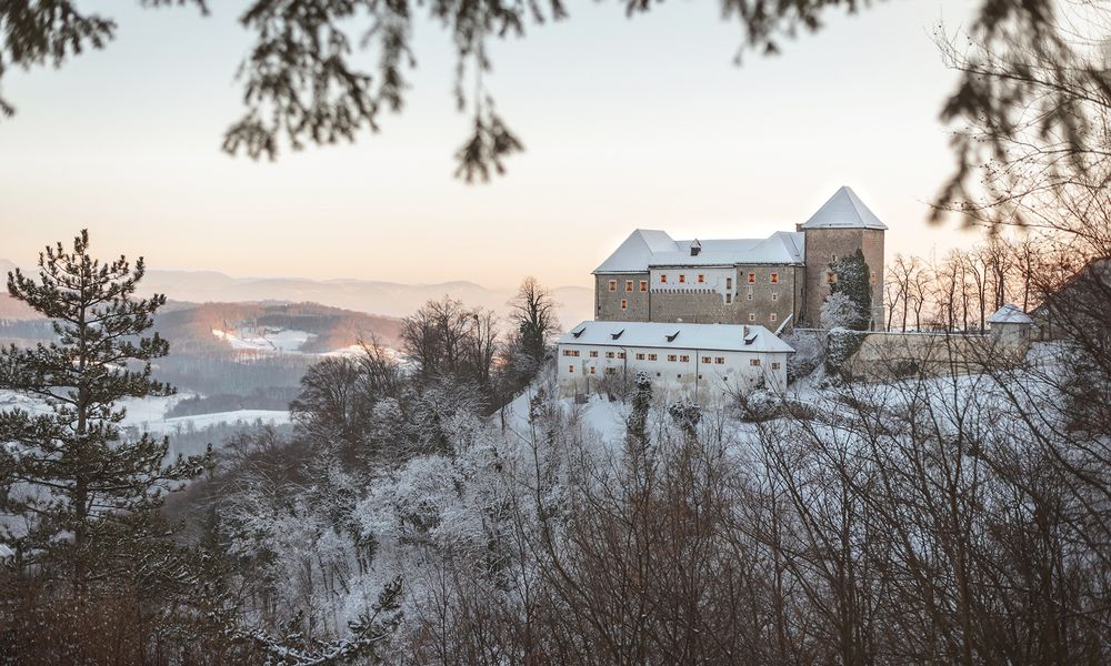 Pogled na zasnežen grad Podsreda pozimi s sosednjega griča, okrog so gola drevesa in hribi, prekriti s snegom.