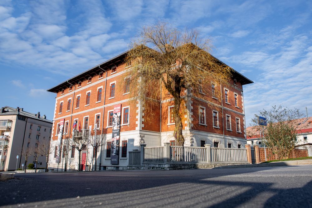 Zunanji pogled na muzej iz ceste pred katerim stoji mogočna vrba